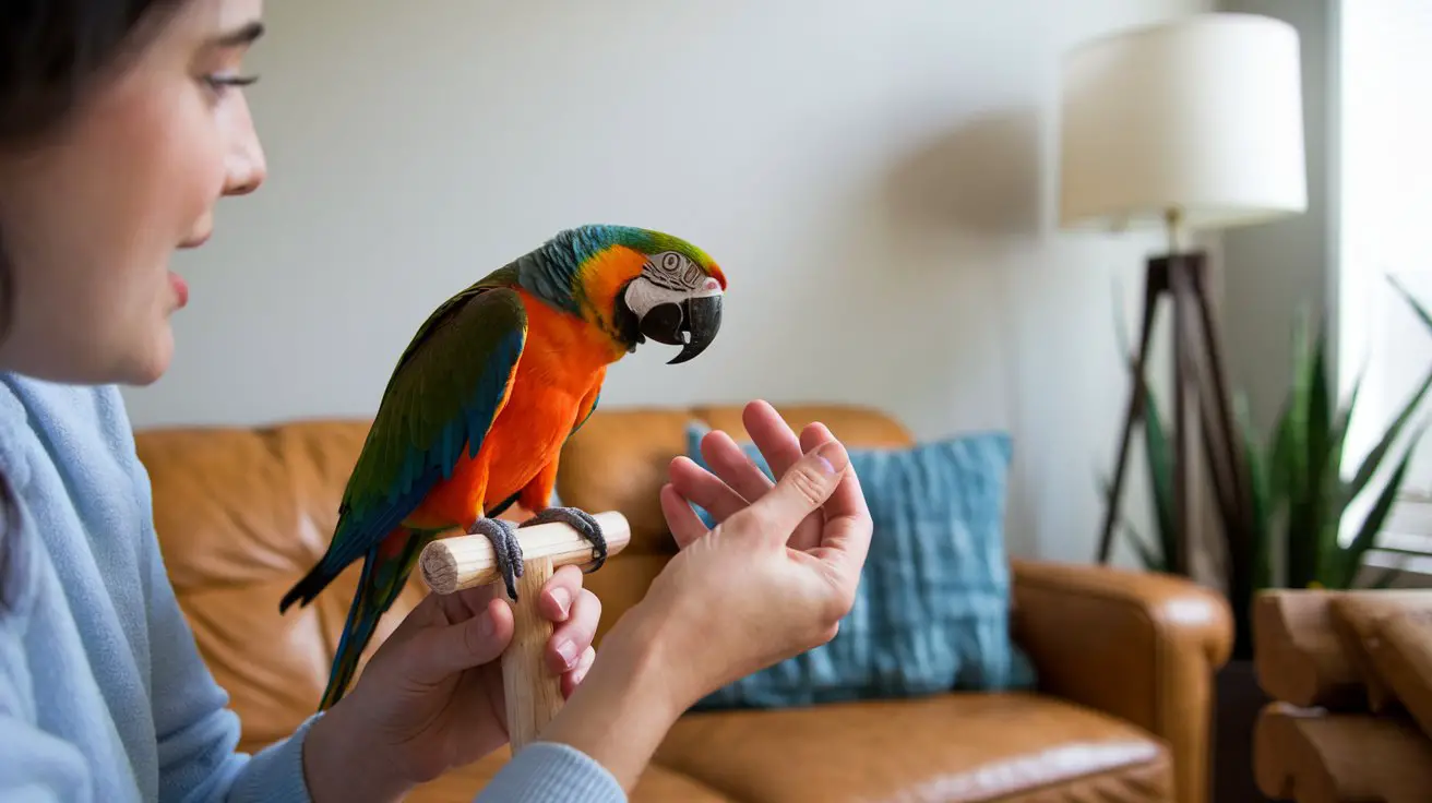 Teaching Your Parrot to Talk: A Step-by-Step Guide